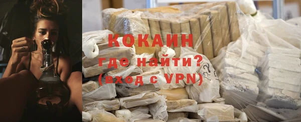 индика Горнозаводск