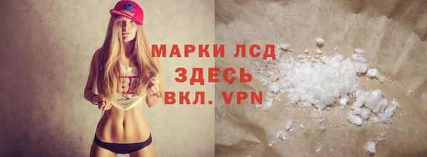 индика Горнозаводск