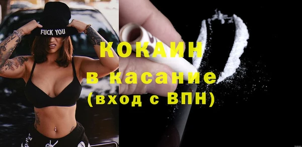 индика Горно-Алтайск
