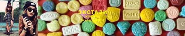 индика Горно-Алтайск