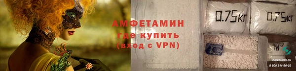 винт Вяземский
