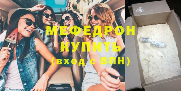 индика Горнозаводск
