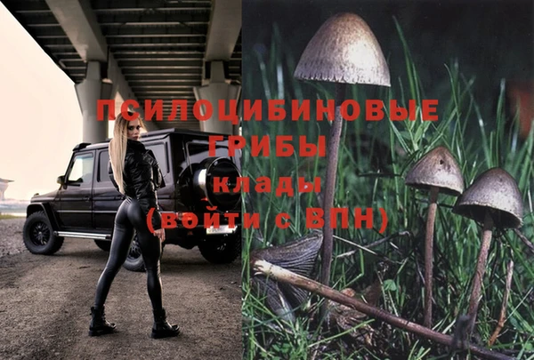 спиды Вязьма