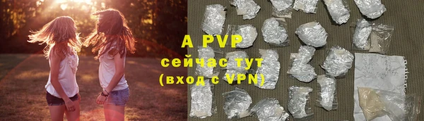 винт Вяземский