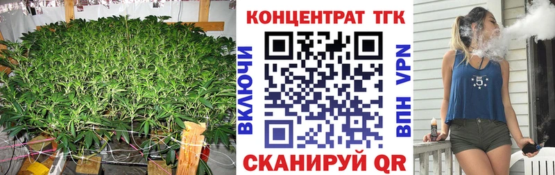 ТГК Wax  Якутск 